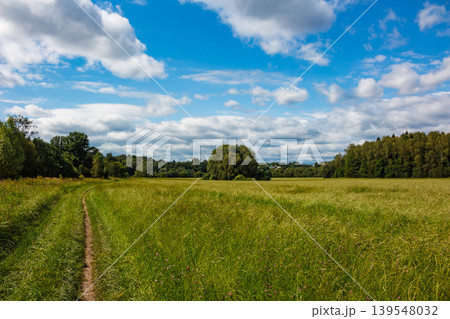 Meandering dirt trail through a sprawling, green pasture. A prominent, solitary tree dominates the midground under a bright, cloud-dotted sky Meandering dirt trail through a sprawling, green pasture. A prominent, solitary tree dominates the midground under a bright, cloud-dotted sky 139548032