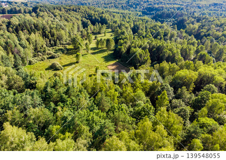 Lush green forest canopy from above, a sprawling expanse of trees. Some sunlit clearings dot the verdant landscape 139548055