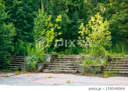 Worn concrete steps, blanketed by wild foliage, rise into a thick, green forest. A serene picture of nature's reclaim 139548064