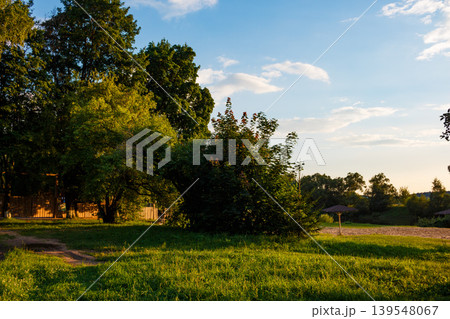 Lush greenery and sun-drenched turf catch golden light. Peaceful open-air ambiance under a wide blue yonder 139548067