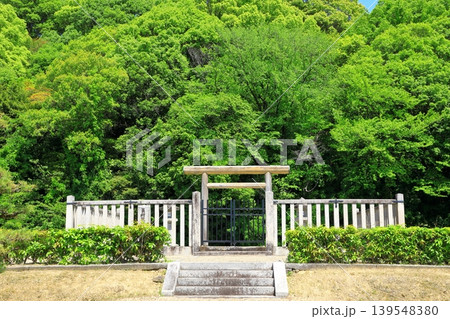 新緑の景行天皇陵 新緑の景行天皇陵 139548380
