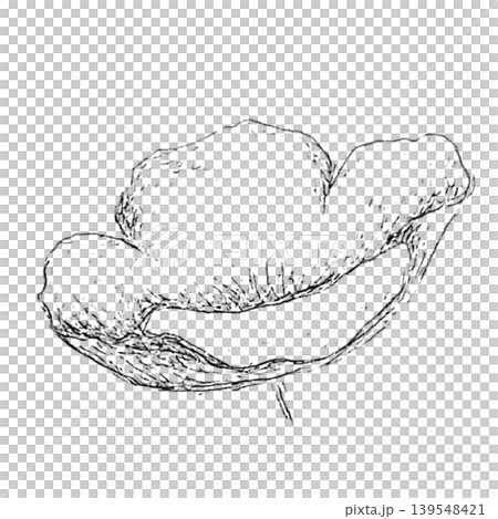 ポピーの花 ポピーの花 139548421