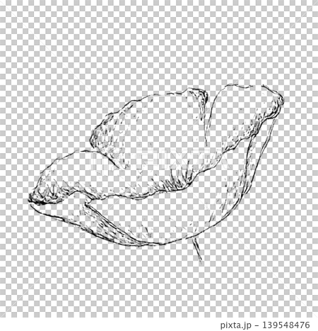 ポピーの花 ポピーの花 139548476