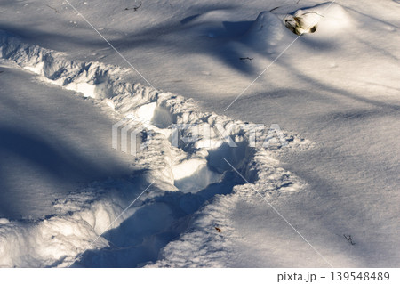 Deep tracks in sparkling winter snow, bathed in golden sunlight and stark shadows. A serene, frosty path into nature's quiet embrace Deep tracks in sparkling winter snow, bathed in golden sunlight and stark shadows. A serene, frosty path into nature's quiet embrace 139548489