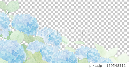水彩畫的繡球花的背景插圖 水彩畫的繡球花的背景插圖 139548511