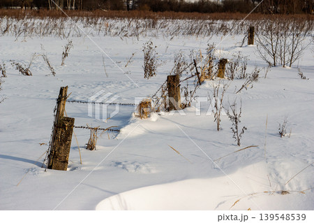 Snow-dusted field, rustic barbed wire fence posts, and dormant winter flora under a crisp clear sky. A tranquil, frosty rural scene 139548539