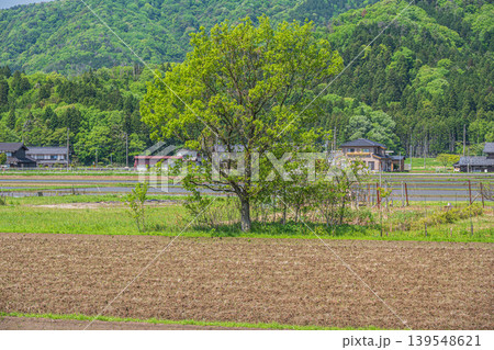 奥琵琶湖の田園風景　滋賀県長浜市西浅井町 139548621