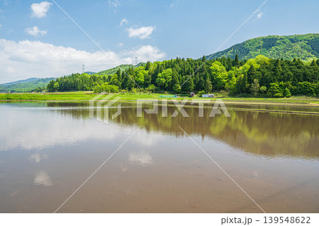 奥琵琶湖の田園風景　水を張った田んぼ　滋賀県長浜市西浅井町 139548622