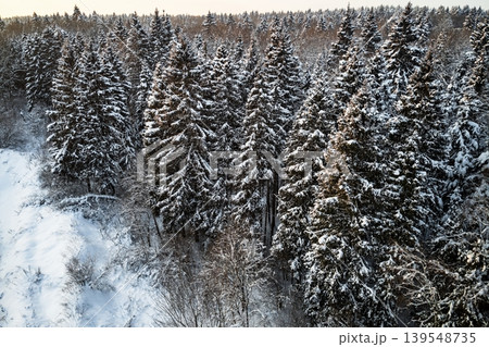 Stunning aerial vista of a vast, snow-kissed winter forest. Evergreen trees, heavily frosted, glow warmly under the gentle evening sun. Pure, serene wilderness beauty Stunning aerial vista of a vast, snow-kissed winter forest. Evergreen trees, heavily frosted, glow warmly under the gentle evening sun. Pure, serene wilderness beauty 139548735