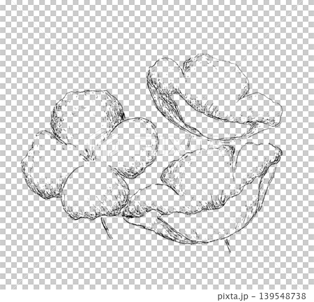 罌粟花 罌粟花 139548738