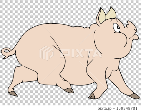 A fun animal illustration ☆ Pig 139548781