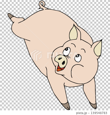 A fun animal illustration ☆ Pig 139548783