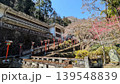 赤灯籠が並ぶ満願寺 (出流観音) の参道 139548839
