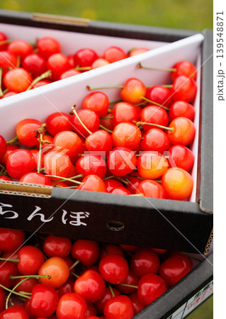 箱詰めの佐藤錦(青森県南部町) 箱詰めの佐藤錦(青森県南部町) 139548871