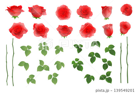 バラの花の水彩風イラスト素材セット バラの花の水彩風イラスト素材セット 139549201