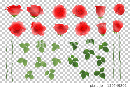 バラの花の水彩風イラスト素材セット バラの花の水彩風イラスト素材セット 139549201