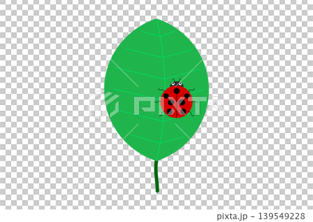 A red ladybug on a green leaf 139549228