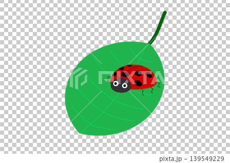 A red ladybug on a green leaf 139549229