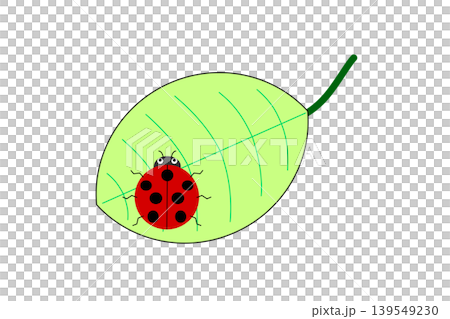 A red ladybug on a yellowish-green leaf A red ladybug on a yellowish-green leaf 139549230