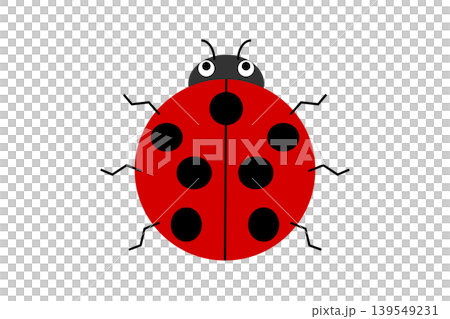 テントウムシのイラスト テントウムシのイラスト 139549231