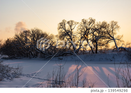 Serene winter landscape with snow-laden trees silhouetted against a golden sunset over a frozen river. Tranquil frosty scene with long shadows Serene winter landscape with snow-laden trees silhouetted against a golden sunset over a frozen river. Tranquil frosty scene with long shadows 139549298
