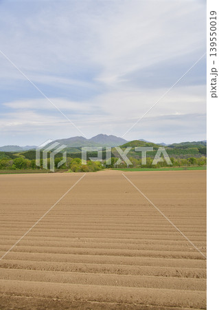 春の北海道厚沢部町で耕し終えた畑の風景を撮影 139550019