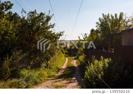 Sun-drenched dirt trail cutting through verdant countryside beneath power lines. A peaceful rural venture awaits, hinting at a serene journey ahead Sun-drenched dirt trail cutting through verdant countryside beneath power lines. A peaceful rural venture awaits, hinting at a serene journey ahead 139550210