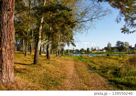 A peaceful autumn trail winds through a charming forest, carpeted with golden leaves. A tranquil lake and distant village add a picturesque touch to this serene nature walk A peaceful autumn trail winds through a charming forest, carpeted with golden leaves. A tranquil lake and distant village add a picturesque touch to this serene nature walk 139550240