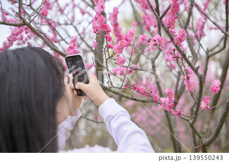 梅の花の写真を撮る女性 梅の花の写真を撮る女性 139550243