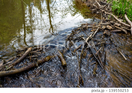 A wild makeshift dam of logs and branches creates a small cascade in a forest stream. Water rushes over the woody debris, with tree reflections above A wild makeshift dam of logs and branches creates a small cascade in a forest stream. Water rushes over the woody debris, with tree reflections above 139550253