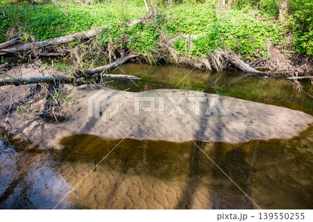 A serene woodland stream flows past a sandy bank, surrounded by lush green foliage and fallen logs. Sunlight dapples the calm waters, creating a peaceful nature scene A serene woodland stream flows past a sandy bank, surrounded by lush green foliage and fallen logs. Sunlight dapples the calm waters, creating a peaceful nature scene 139550255
