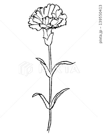 咲き誇るカーネーションの花の手描きの線画イラスト 咲き誇るカーネーションの花の手描きの線画イラスト 139550413