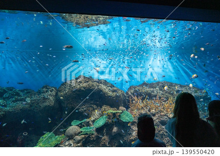 光が降り注ぐ水族館の大水槽 光が降り注ぐ水族館の大水槽 139550420