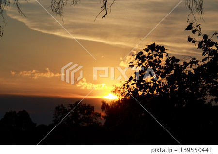 Radiant sunset paints the sky fiery orange, peeking through dark tree foliage. Golden hour's magic, tranquil twilight vibes Radiant sunset paints the sky fiery orange, peeking through dark tree foliage. Golden hour's magic, tranquil twilight vibes 139550441
