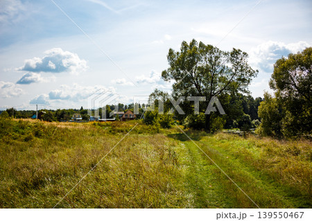 Grand old tree overlooks a sunny field. A rustic dirt trail winds to distant village dwellings beneath a bright, cloudy sky Grand old tree overlooks a sunny field. A rustic dirt trail winds to distant village dwellings beneath a bright, cloudy sky 139550467