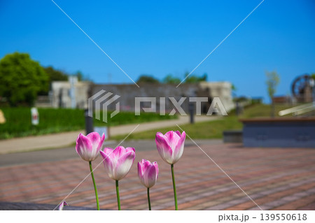 春の花咲くゆりの里公園 春の花咲くゆりの里公園 139550618