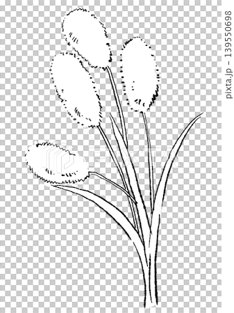一幅手繪線條藝術插圖，描繪了一隻毛茸茸的拉格拉斯。 139550698