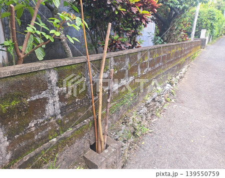 ハブを捕まえる棒 ハブを捕まえる棒 139550759