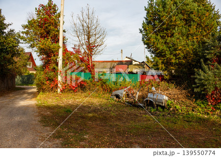 Forgotten car carcasses decay amidst vibrant autumn foliage and an overgrown rural landscape, nature slowly reclaiming these metal relics Forgotten car carcasses decay amidst vibrant autumn foliage and an overgrown rural landscape, nature slowly reclaiming these metal relics 139550774