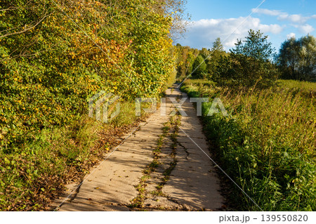 Rural concrete path winding through lush autumn foliage and fields under a bright blue sky. Sunlight casts long shadows, highlighting the season's beauty Rural concrete path winding through lush autumn foliage and fields under a bright blue sky. Sunlight casts long shadows, highlighting the season's beauty 139550820