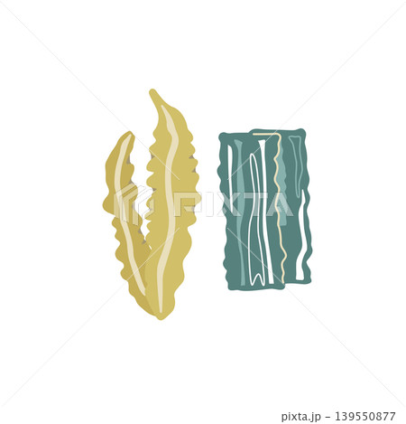 昆布の乾物のイラスト(カラー) 昆布の乾物のイラスト(カラー) 139550877