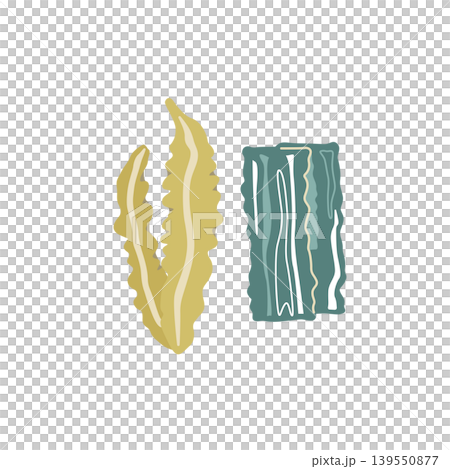 昆布の乾物のイラスト(カラー) 昆布の乾物のイラスト(カラー) 139550877