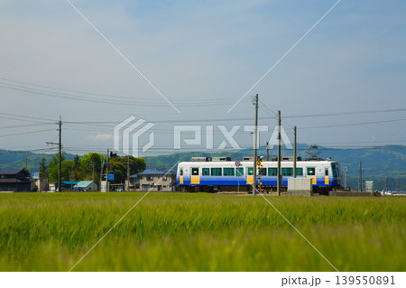 麦畑の中を走るえちぜん鉄道 麦畑の中を走るえちぜん鉄道 139550891