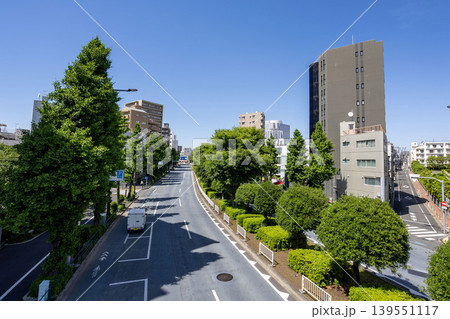 青空と街路樹が広がる東京都文京区・白山通りの風景 139551117