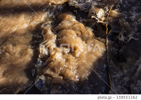 Turbulent muddy water swirls rapidly in a sunlit spring stream, showing thick, churning brown currents and a dark branch Turbulent muddy water swirls rapidly in a sunlit spring stream, showing thick, churning brown currents and a dark branch 139551162