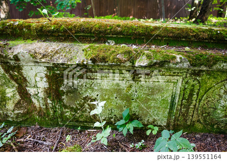 Ancient weathered limestone tombstone at a Russian Orthodox cemetery, overgrown with moss and surrounded by greenery. Kaluga region, Russia 139551164