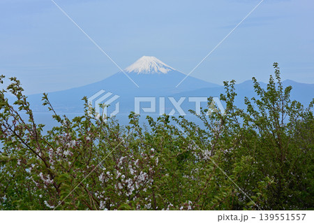 出逢い岬からの富士山 139551557