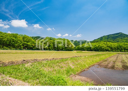 奥琵琶湖の田園風景　滋賀県長浜市西浅井町 139551799