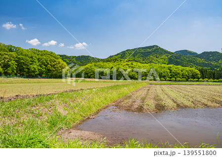 奥琵琶湖の田園風景　滋賀県長浜市西浅井町 139551800