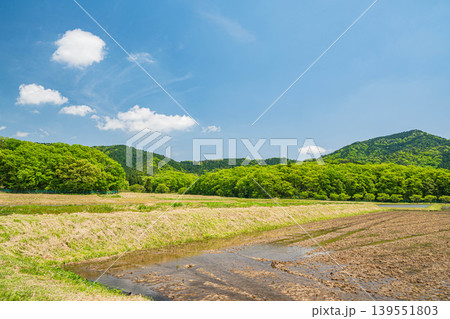 奥琵琶湖の田園風景　滋賀県長浜市西浅井町 139551803